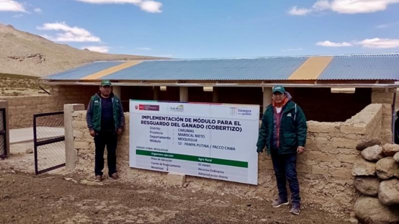 Agro Rural: 90% de cobertizos y fitotoldos a implementar en Moquegua ya están culminados