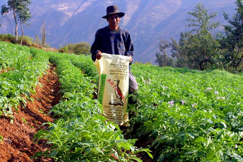 Agro Rural comercializará 1.500 toneladas de guano de las islas a precio social a pequeños productores