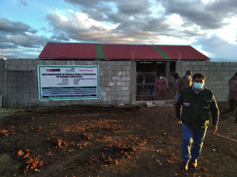 Agro Rural construirá 465 cobertizos en Puno este año