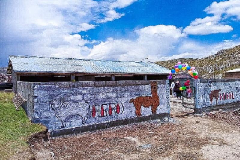 Agro Rural construye 100 cobertizos en Pasco para proteger 10.000 cabezas de ganado