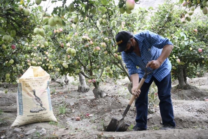 Agro Rural contará con 327 empadronadores para registrar a beneficiarios de subvención económica que se otorgará por la compra de fertilizantes
