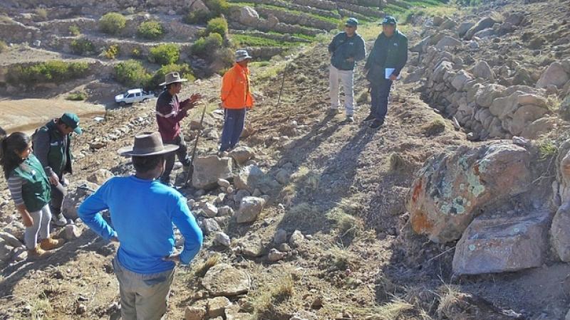 Agro Rural continúa rehabilitación de andenes en la provincia de Candarave