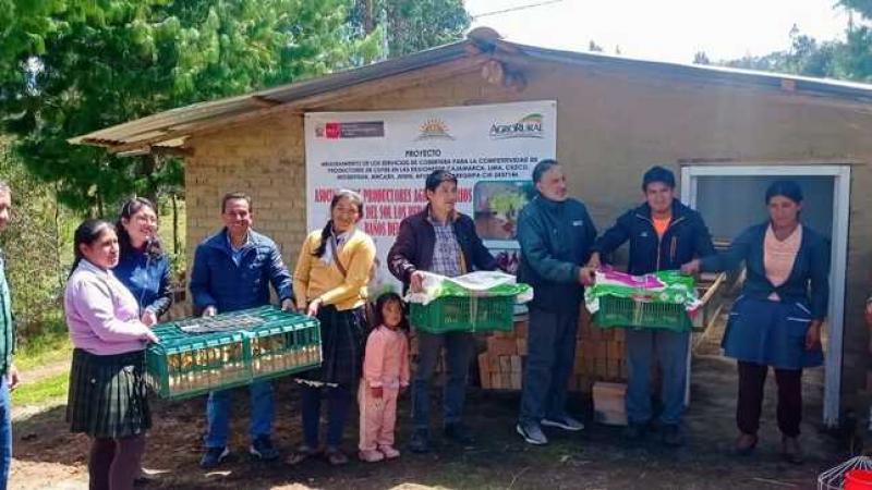 Agro Rural entregó módulos reproductores a productores de Cajamarca para impulsar la crianza de cuyes