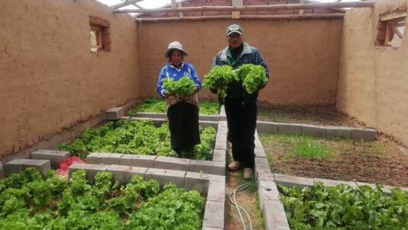 Agro Rural implementó 490 fitotoldos en Puno