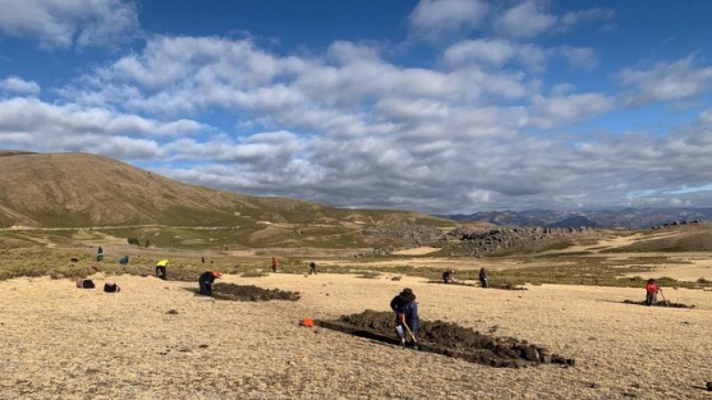 Agro Rural realiza acciones de recuperación y manejo de praderas en 600 hectáreas en Apurímac