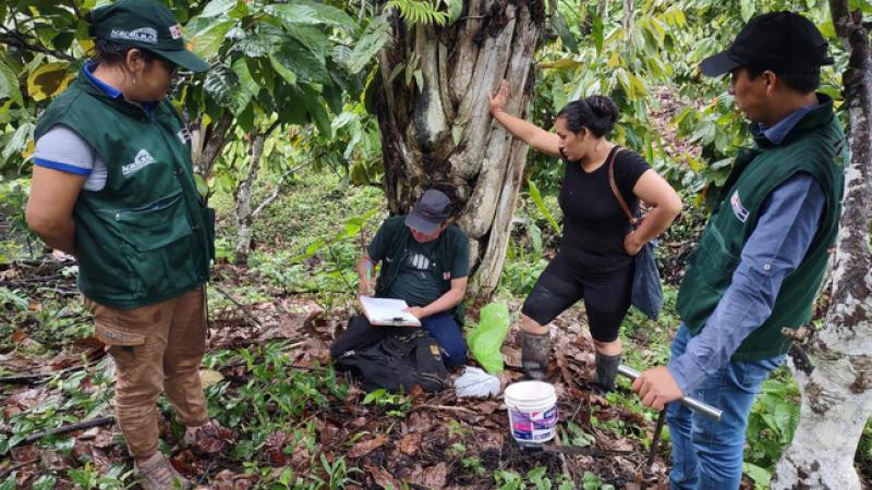 Agro Rural: Se han ejecutado 450 servicios de extensión agraria rural a la fecha