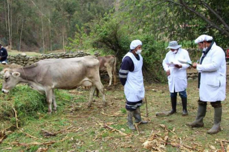 Agro Rural y proyecto Nueva Zelanda unifican estrategias a favor de productores lecheros