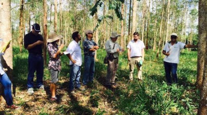 Agrobanco capacitará a 650 técnicos en manejo de sistemas forestales y buenas prácticas agrícolas