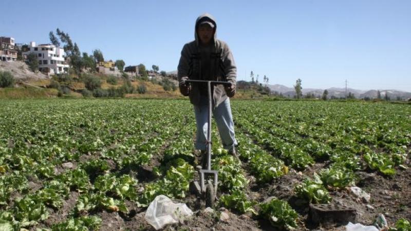 AGROBANCO INCREMENTA RECURSOS PARA REGIONES SIERRA Y SELVA