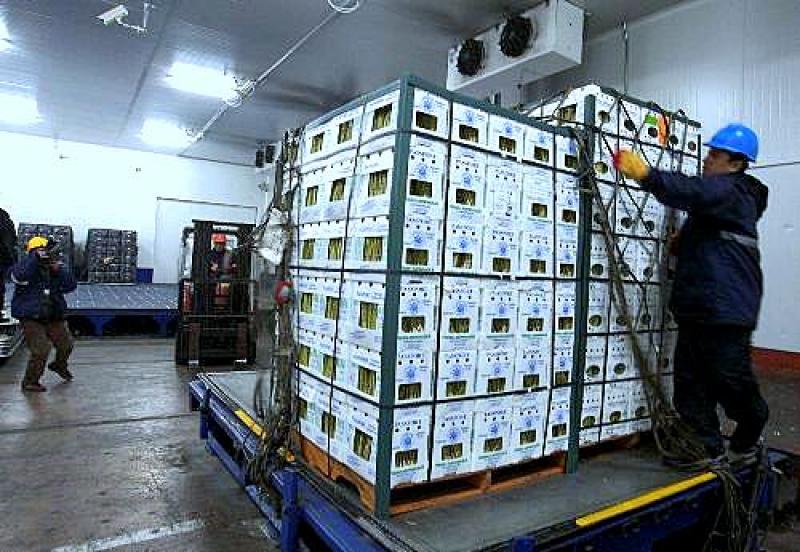 AGROEXPORTACIONES ALCANZARON LOS US$ 346 MILLONES