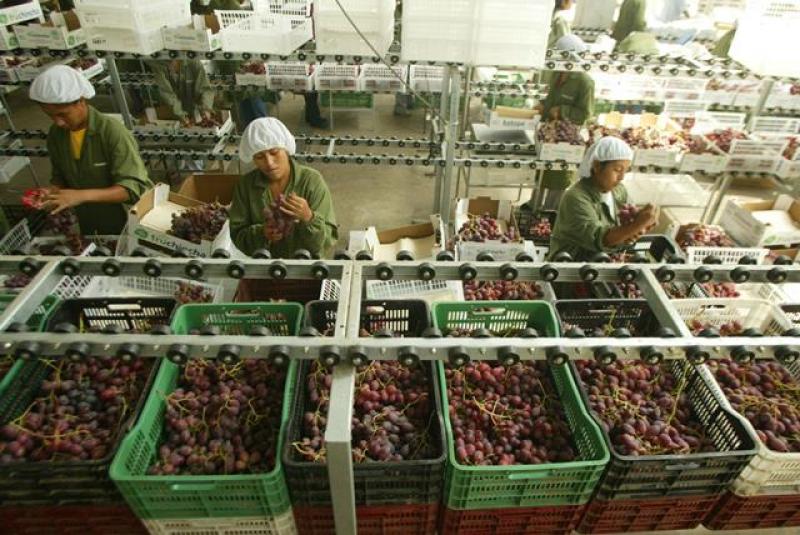 AGROEXPORTACIONES CRECIERON EN 12.2%