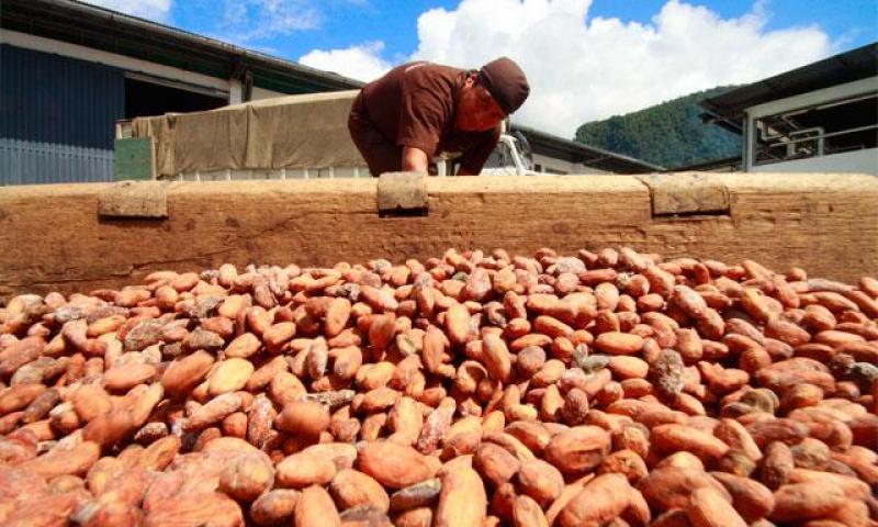 Agroexportaciones de macrorregión oriental suman US$ 32.4 millones en el primer semestre del año