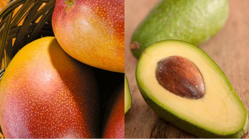 Agroexportaciones peruanas a Francia sumaron US$ 35.869.000 entre enero y mayo de 2025, reflejando un alza de 21%