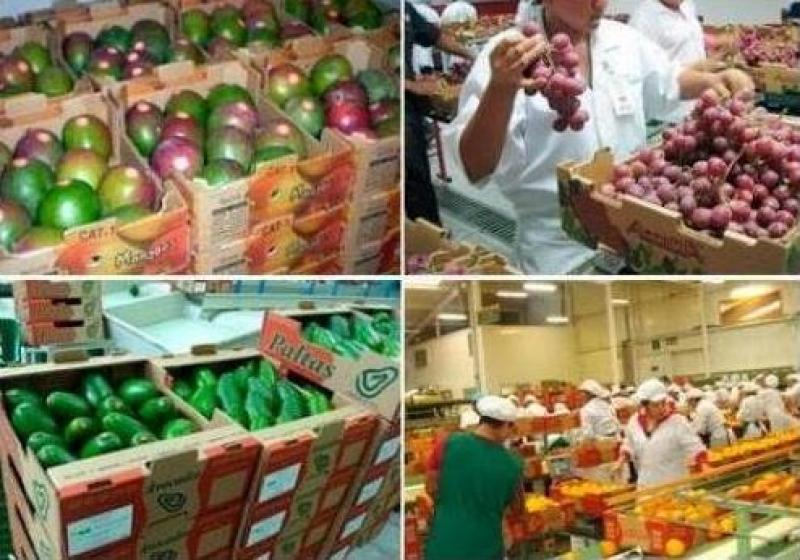 AGROEXPORTACIONES PERUANAS BORDEAN LOS US$ 4.000 MILLONES