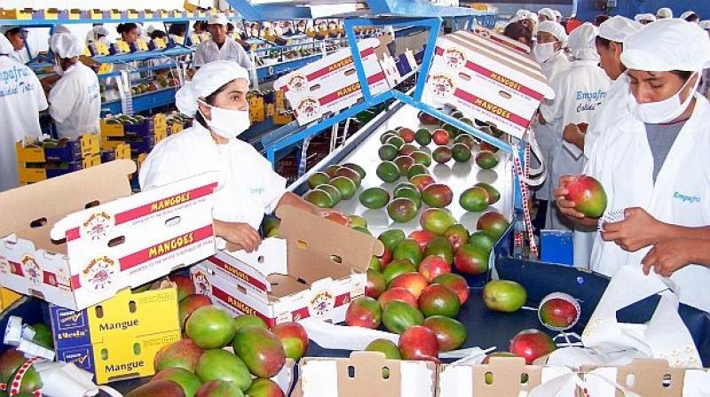Agroexportaciones peruanas cayeron 6.3% en valor durante el primer trimestre del 2017