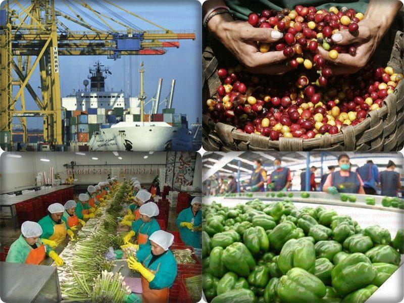 Agroexportaciones peruanas crecen en valor 23.2% en el primer mes de 2024