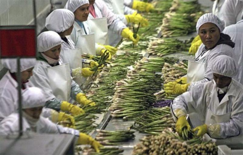 Agroexportaciones peruanas crecerían 5% al cierre de 2023