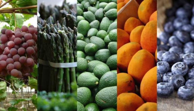 Agroexportaciones peruanas crecieron 23% en el primer mes del año