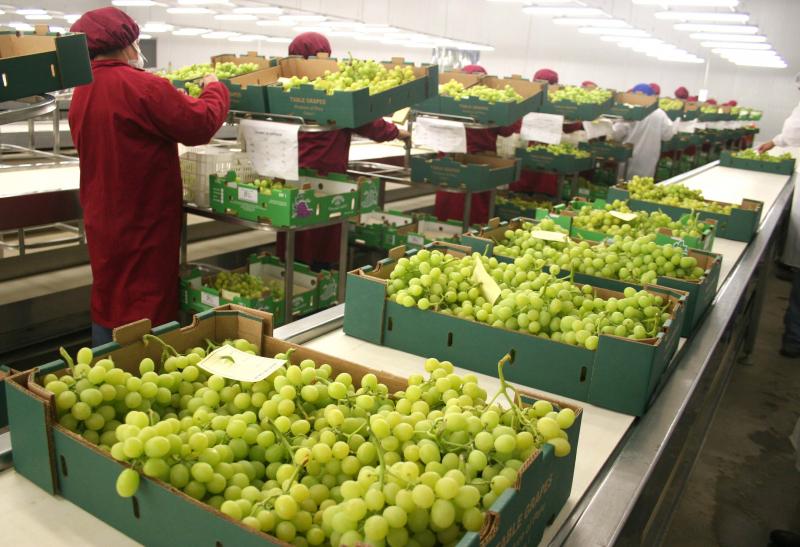 Agroexportaciones peruanas crecieron 8%