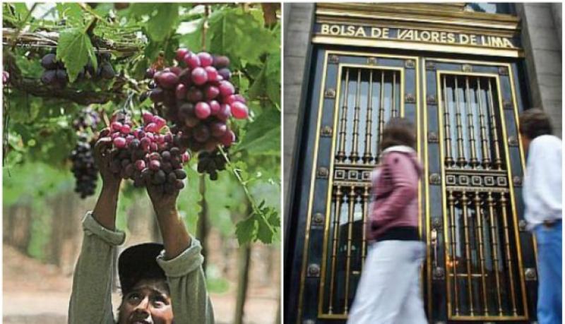 Agroexportadora Ecosac ingresó a la Bolsa de Valores de Lima