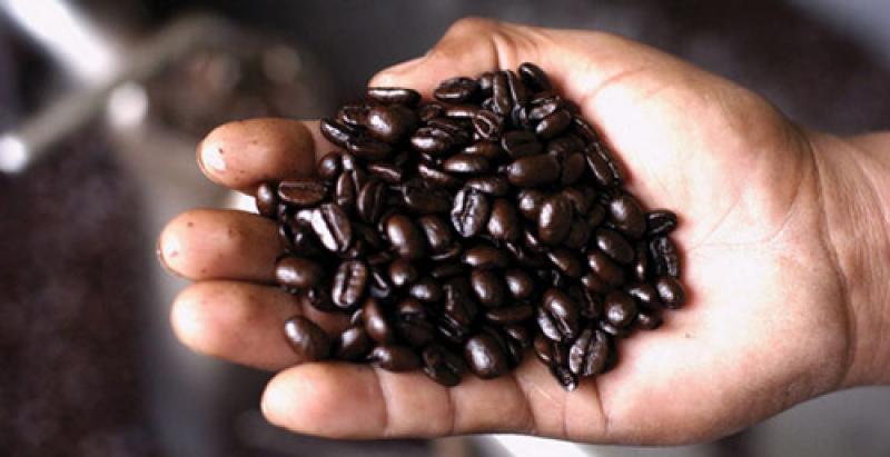 Agroideas cofinanció planes de negocio por más de S/ 1 millón a organizaciones agrarias de café y arroz
