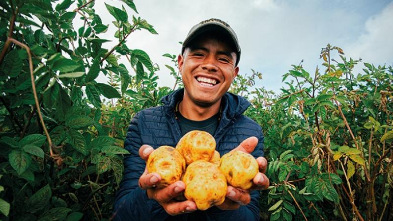 Agroideas invirtió más de S/ 61 millones en 134 planes de negocio de la cadena productiva de la papa desde 2010 a la fecha