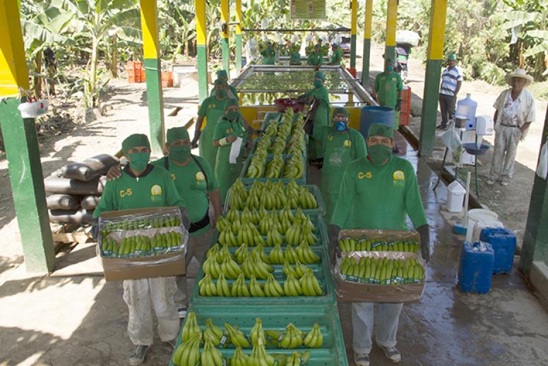 Agroideas potenció capacidades de más de 11 mil productores de frutas y verduras a través de Planes de Negocio