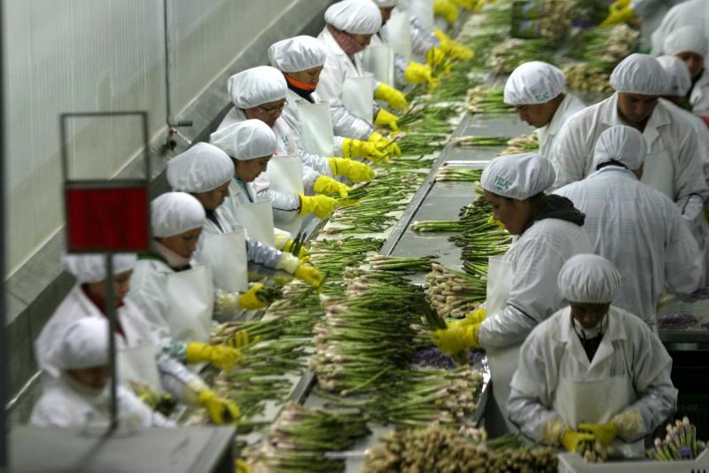 Agroindustria generó 1.3 millones de puestos de trabajo entre enero y octubre de 2022