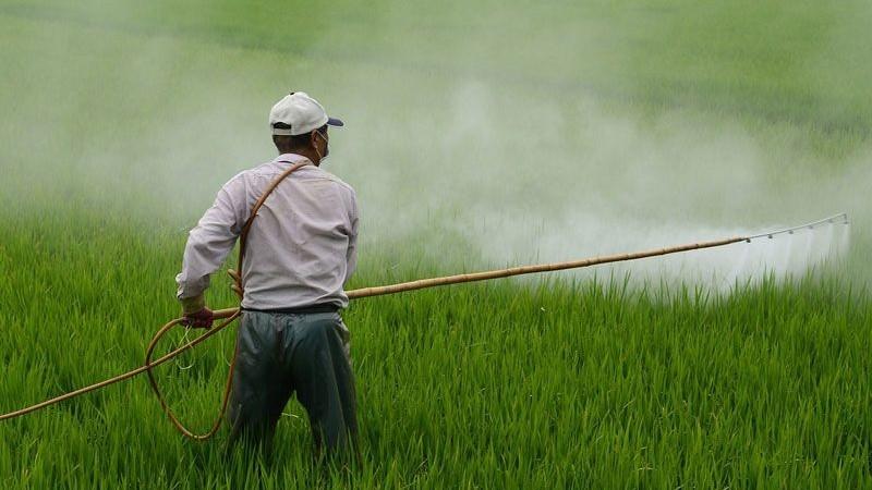 Agroquímicos ilegales ya representan hasta el 25% del mercado en algunas regiones del Perú