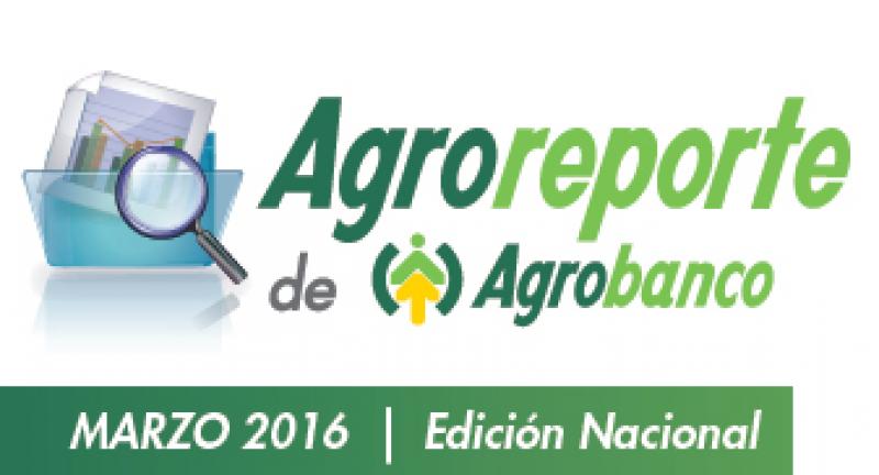 AgroReporte Marzo 2016