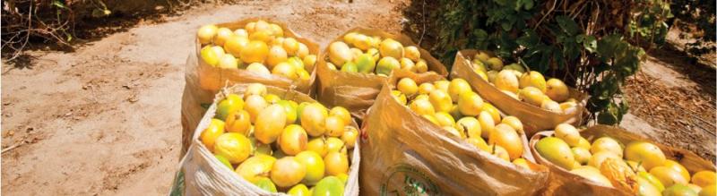 AIB creció en ventas 10% en el primer trimestre del año