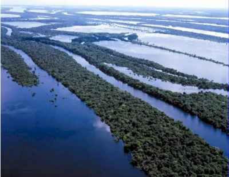 AMAZONAS FAVORECERÍA PRODUCCIÓN AGRÍCOLA E HIDROBIOLÓGICA