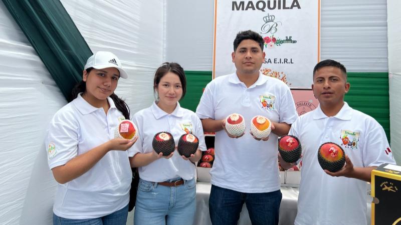 Áncash inicia campaña de mango con el objetivo de exportar 25 mil toneladas