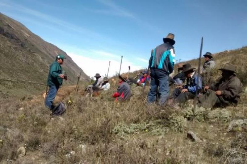 Áncash: mejorarán producción agrícola de papa, trigo y cebada en Yungay