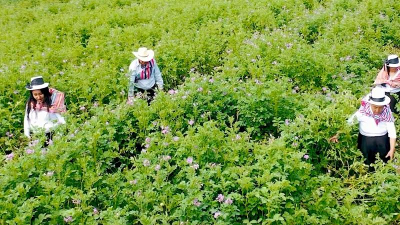 Ángel Manero: El 2024 ha sido un año bastante productivo para el agro