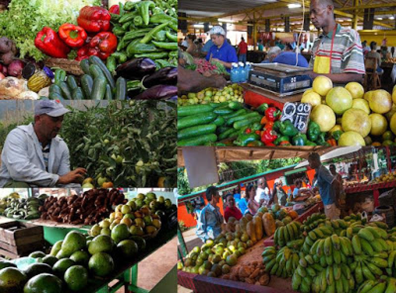 Apega propone la creación de un Sistema Nacional de Distribución de Alimentos