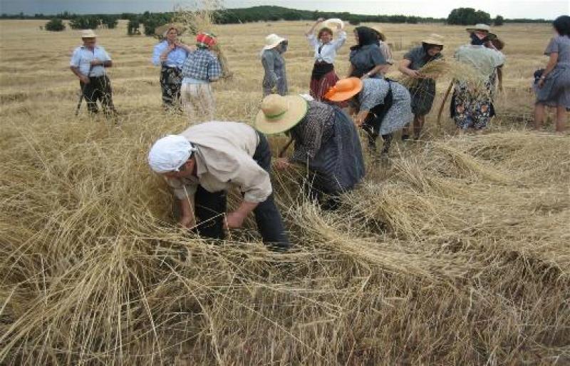 APEGRACE EN CONTRA DE PROPUESTA DE  AUMENTO DEL SALARIO MÍNIMO