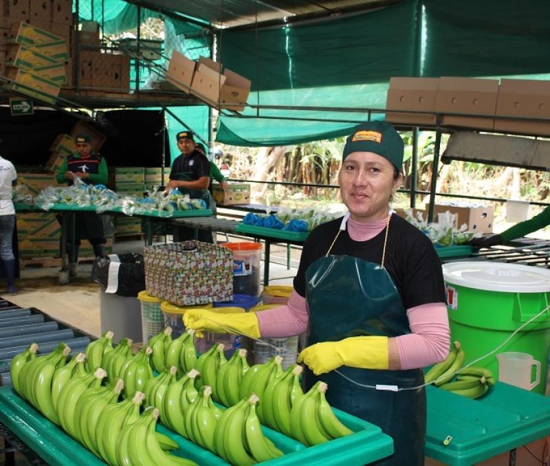 Mercado Verde. Fermentos