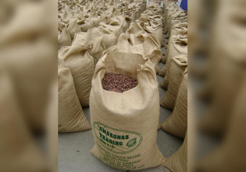 APPCACAO: EXPORTACIÓN DE CACAO CRECERÍA 10% EN 2013