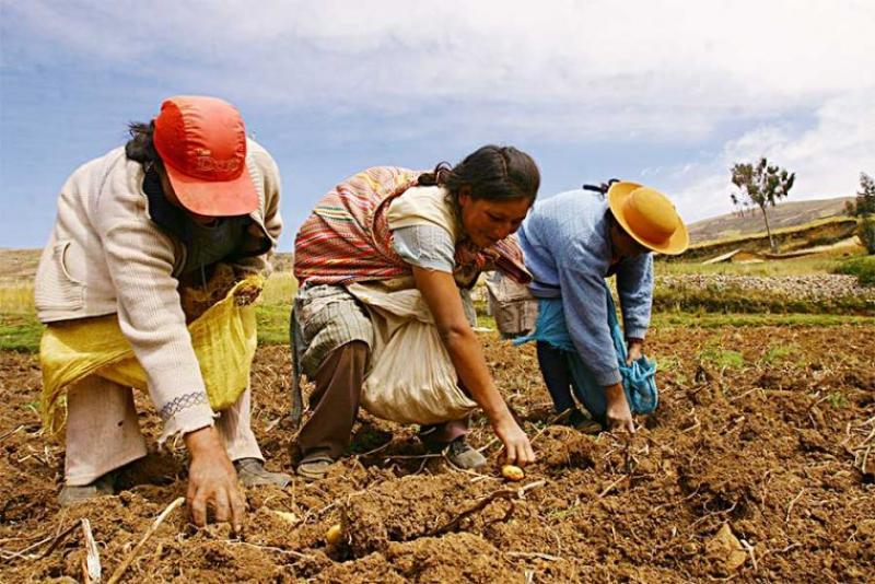 Aprueban la Estrategia denominada “Emprendimiento de la Mujer Rural e Indígena”, para el año 2022