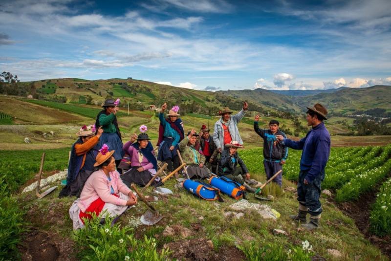 Apuesta por agricultura diversificada y ecológica reduce desnutrición en la sierra peruana