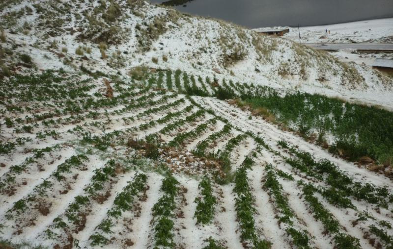 Apurímac: heladas afectan a más de 800 personas y 247 hectáreas de cultivo