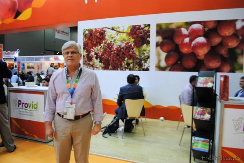 Áreas de uva de mesa en Perú crecerían entre 5% y 6% en la campaña 2020/2021