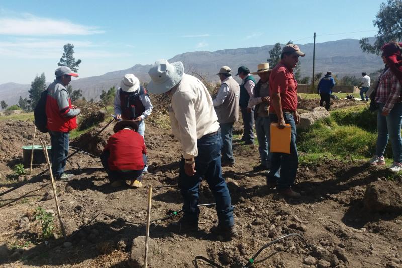 Arequipa: agricultores se preparan para mitigar impacto del cambio climático