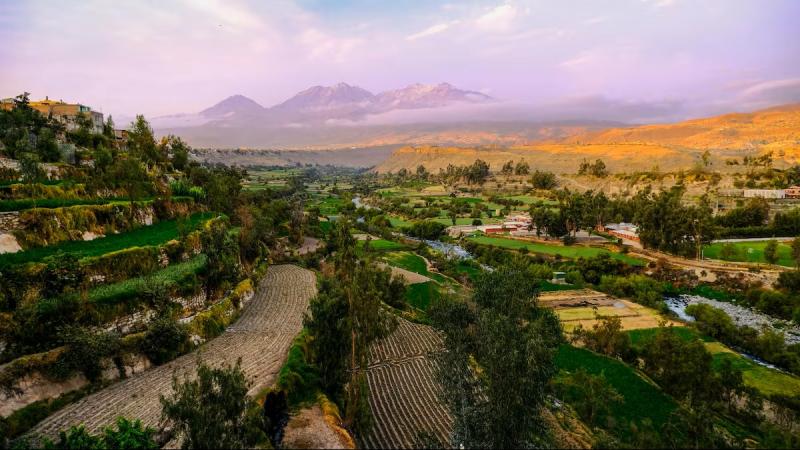 Arequipa: Campaña agrícola 2025/2026 tendría más de 10% de tierras cultivadas adicionales