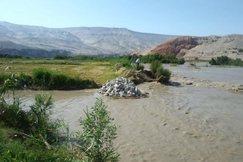 Arequipa: peligran más de 400 hectáreas de arroz por crecida del río Majes