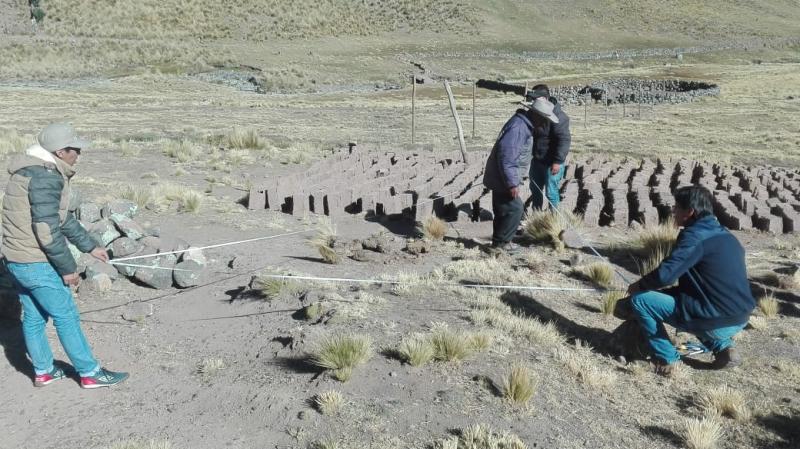 Arequipa: pobladores de Caylloma implementarán 405 cobertizos para alpacas y ovinos
