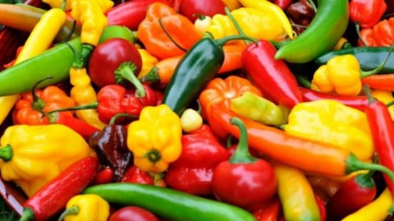 Arequipa será sede del II Encuentro Empresarial de Capsicum