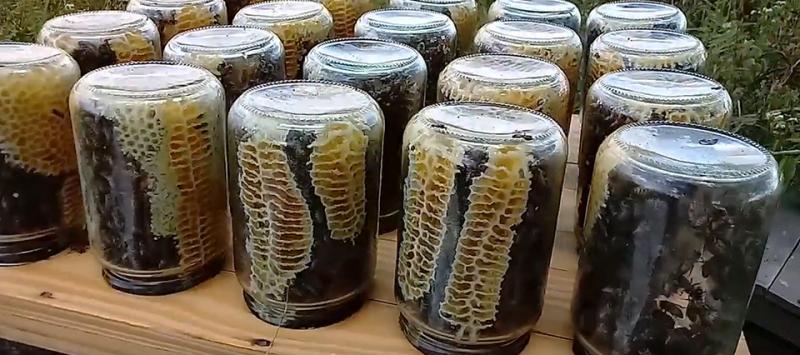 Argentina: un apicultor incorpora frascos a las colmenas para que las abejas mismas terminen el producto