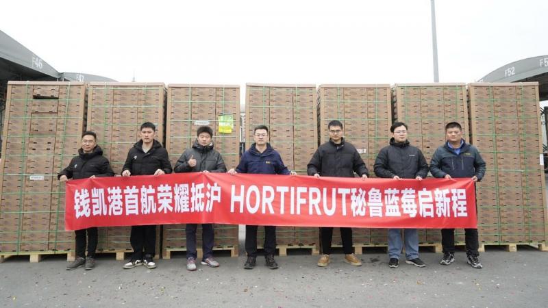 Arribó a China primer envío de arándanos de Hortifrut a través del Puerto de Chancay